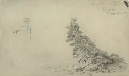 Tekening, Wintergroene boom nabij de kust met een detail van de vuurtoren en een huis, Mount Desert, Maine, juli 1850