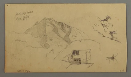 Tekening, Glacier, 21 augustus 1868