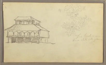 Tekening, Huis, Botanische schets, Ecuador of Colombia, 1857