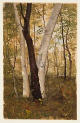Tekening, In het bos, Hudson, New York, oktober 1865