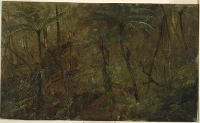 Tekening, In de bossen van Jamacia, West-Indië, 1865
