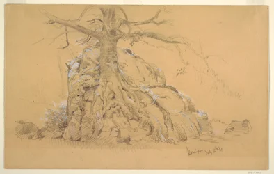 Tekening, Königssee Boom, 16 juli 1868