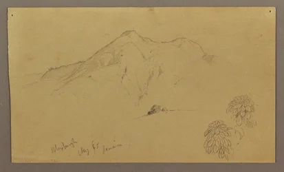 Tekening, Landschap, planten, Bloxburgh, augustus 1865