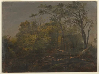 Tekening, Maine Woods, 1845-55