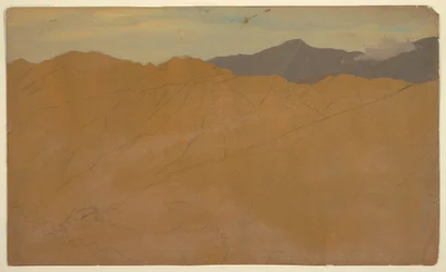 Tekening, Palmbomen en kruinen, Ecuador, mei 1857