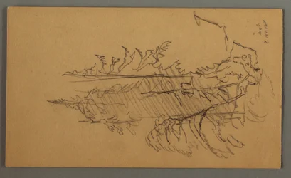 Tekening, Dennenbomen, mogelijk 1868
