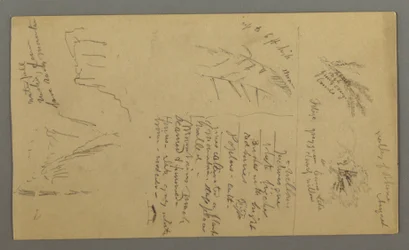 Tekening, Plantenstudies, Plantennotities, Waterval, 1868