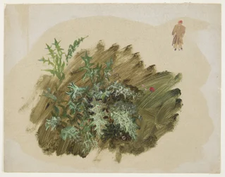 Tekening, Plantenstudies, 1865