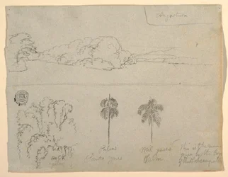 Tekening, Schetsen uit Colombia:  Oever van een rivier of baai, en bomen, 1853