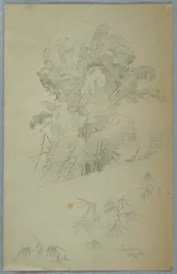 Tekening, Studies van bomen en takken, Jamaica, augustus 1865