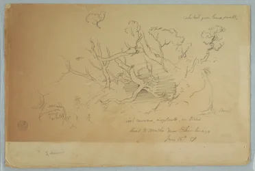 Tekening, Studies van bomen en rotsen, Weg naar Mocho bij Chimborazo, Ecuador, 16 juni 1857