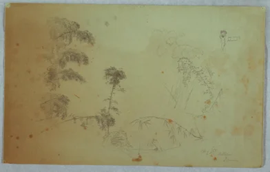Tekening, Studies van bomen met details van bamboe en een klein detail van een man die bananen op zijn hoofd draagt, Bellevue, Jamaica, augustus 1865