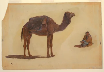 Tekening, Studie van een dromedaris, 1868