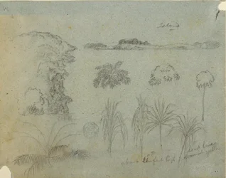 Tekening, Studie met boomtoppen, bomen, vijf ontwerpen van planten en een eiland in de verte, ca. 1852-53