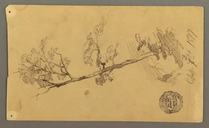 Tekening, Boom, 1877
