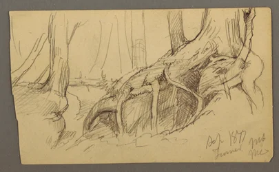 Tekening, Boomwortels groeien over een rotsblok (Turner Mountain), 1877