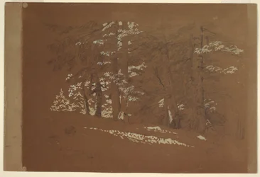 Tekening, Bomen, Berchtesgaden, Beieren, 1868