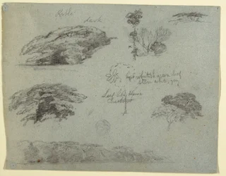 Tekening, Bomen, boomtoppen en een beboste oever, Saddleback, Maine, 1853