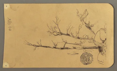 Tekening, Bomen, keien, 1878