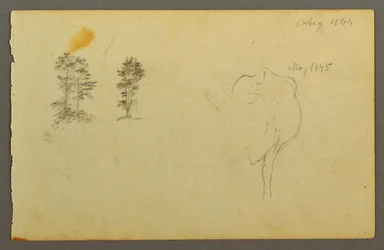 Tekening, bomen, koe, 1844