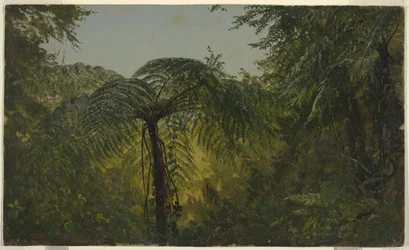 Tekening, Tropisch landschap, juni of juli 1865