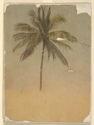 Tekening, Stam en top van een palmboom, 1865