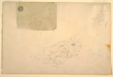 Tekening, Twee handen schuddend, knoestige boomwortels, september 1844