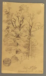 Tekening, Twee bomen, 1877