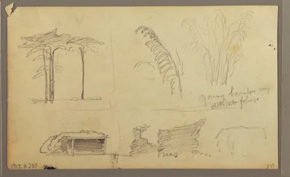 Tekening, Gezicht op de oostelijke oever van de Guayas-rivier, tegenover Guayaquil, Ecuador, mei 1857