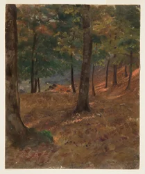 Tekening, Boslandschap, 1870-80