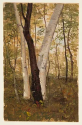 In het Bos, Hudson, New York