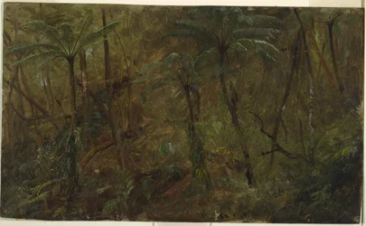 In het bos, Jamaica