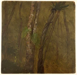 Landschap in Jamaica
