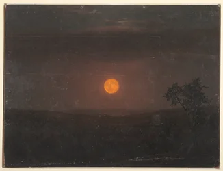 Maanlicht