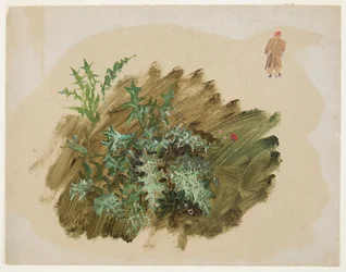 Plantenstudies