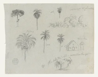 Schetsen van de Rio Magdalena, Colombia.  Botanische schetsen. Een kerk.  Vergelijkbaar met -103.
