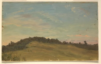 Zomerlandschap