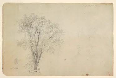 Bomen