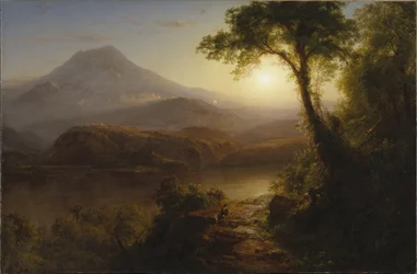 Tropisch landschap