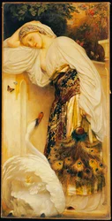 Odaliske