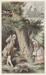 Allons dans ce petit bois charmant