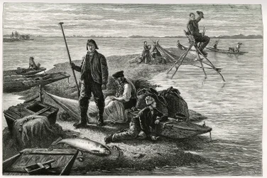 Zalmvissen. Gravure door F.Lix, ter illustratie van het verhaal 