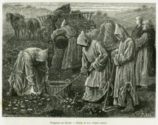 Trappisten aan het werk. Gravure door Lix ter illustratie van het verhaal 
