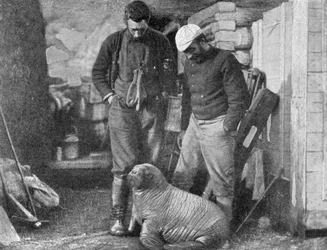 Walrusjong, 1899