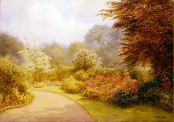 Azalea