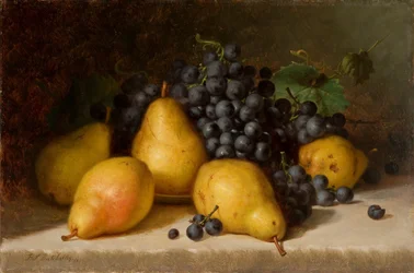 Druiven en Peren 1877