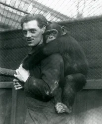 Een man draagt Chimpansee Sally op zijn rug, London Zoo, 1924