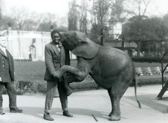 Een jonge Afrikaanse Pygmee-olifant omhelst haar Afrikaanse trainer, terwijl de verzorger toekijkt, London Zoo, juli 1925
