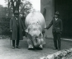 Albino witte olifant Pawah met Dr. Saw Po Min en zoon, London Zoo, mei 1926