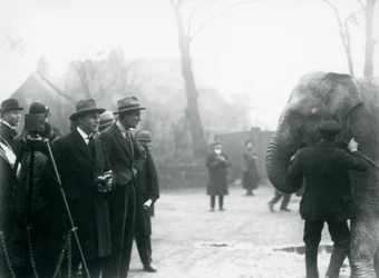 Een Indiase Olifant, mogelijk Sundermalah, tijdens een buitenuitzending van London Zoo, 1925